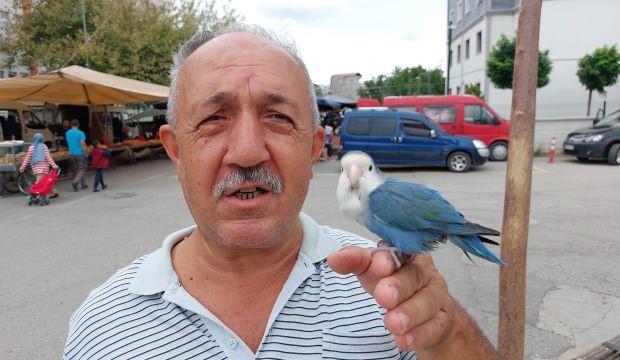 Omzundaki papağanı ile diyar diyar geziyor