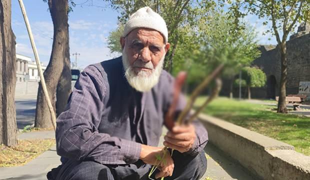 Bu bitkiyi yiyen hayvanlar bir ay içerisinde 4-5 kilo et kazanıyor