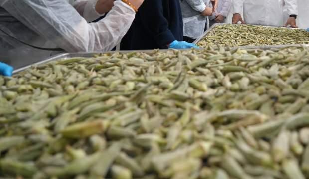 &Ccedil;ift&ccedil;inin elinde kalan bamyaya ilgin&ccedil; &ccedil;&ouml;z&uuml;m: Kilosu 41 dolara satılıyor