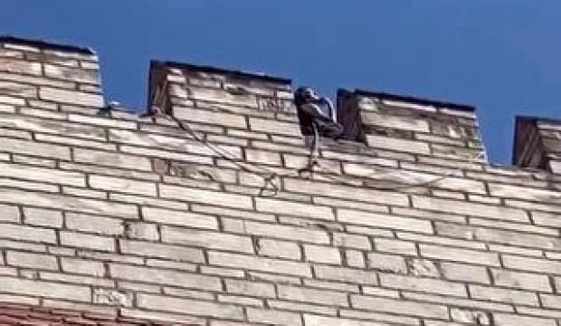 Son dakika: Yarım saatte 2 genç kadını öldürdü! Başını kesip surdan attı, çarpıcı iddia...