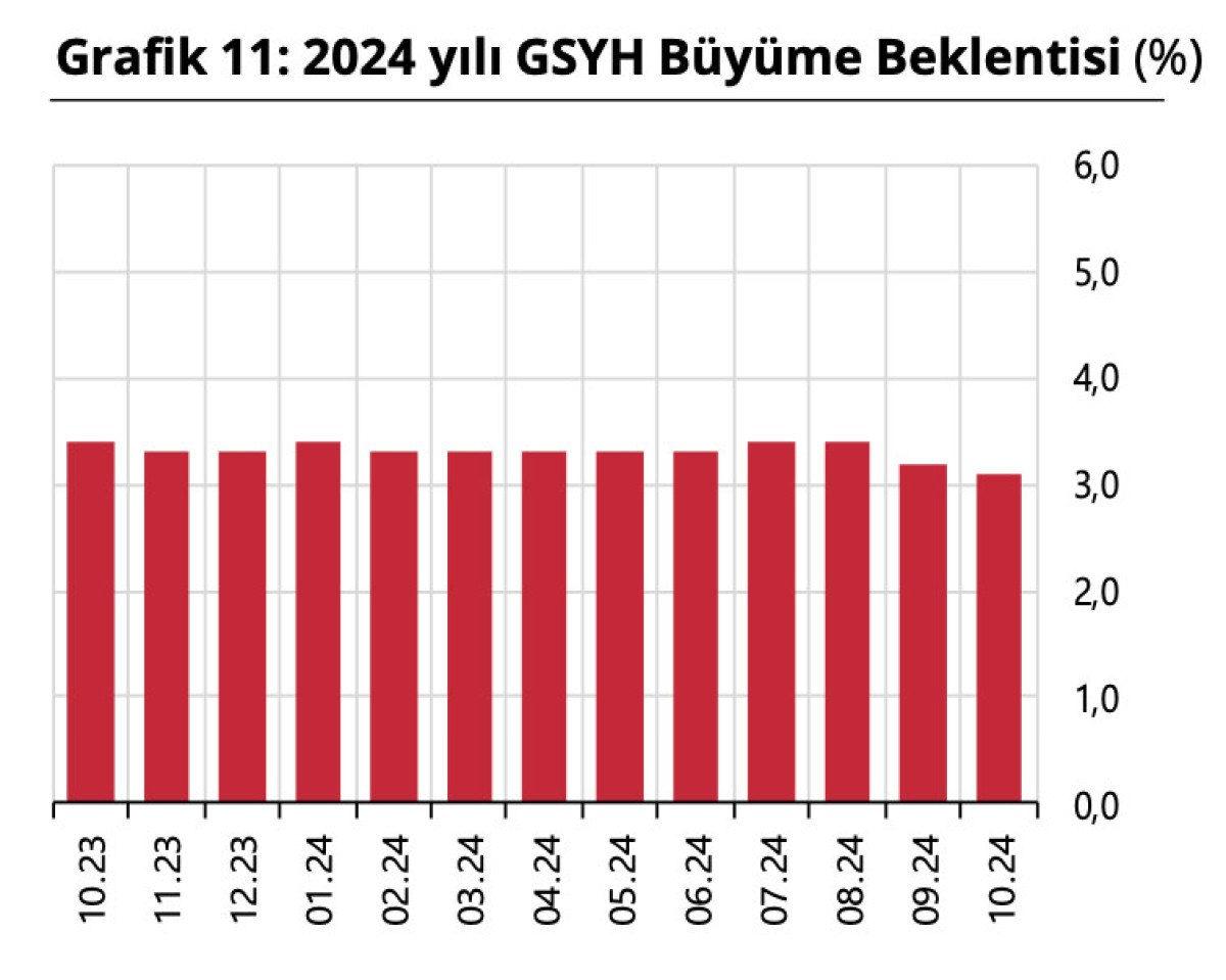 2024 YILSONU BÜYÜME BEKLENTİSİ