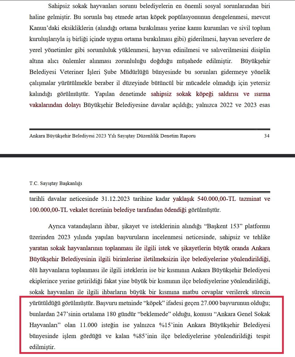 Ankara Büyükşehir Belediyesi'nin başıboş sokak köpekleriyle ilgili ihmalkarlığının kayıtlara geçtiği Sayıştay raporu