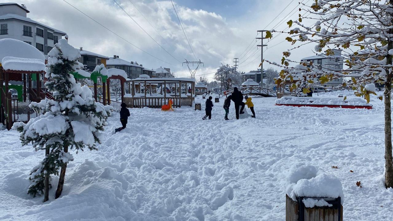 Bolu'da kar esareti