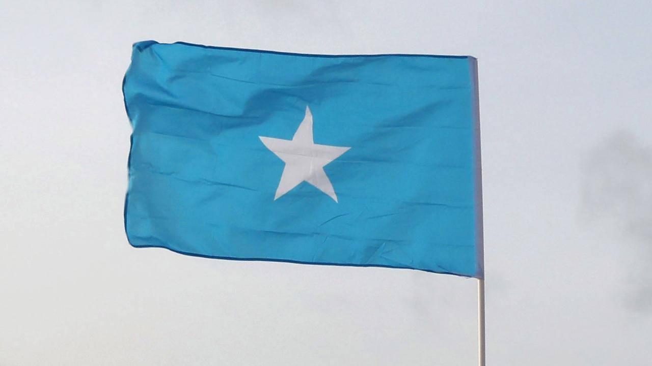 Somali Devleti'nin bayrağı