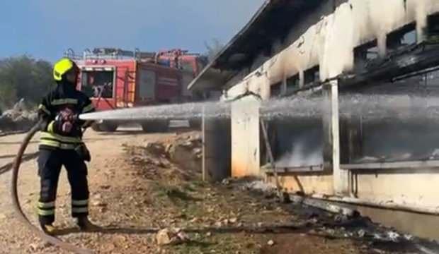 Mersin'de korkunç yangın: 33 bin civciv telef oldu