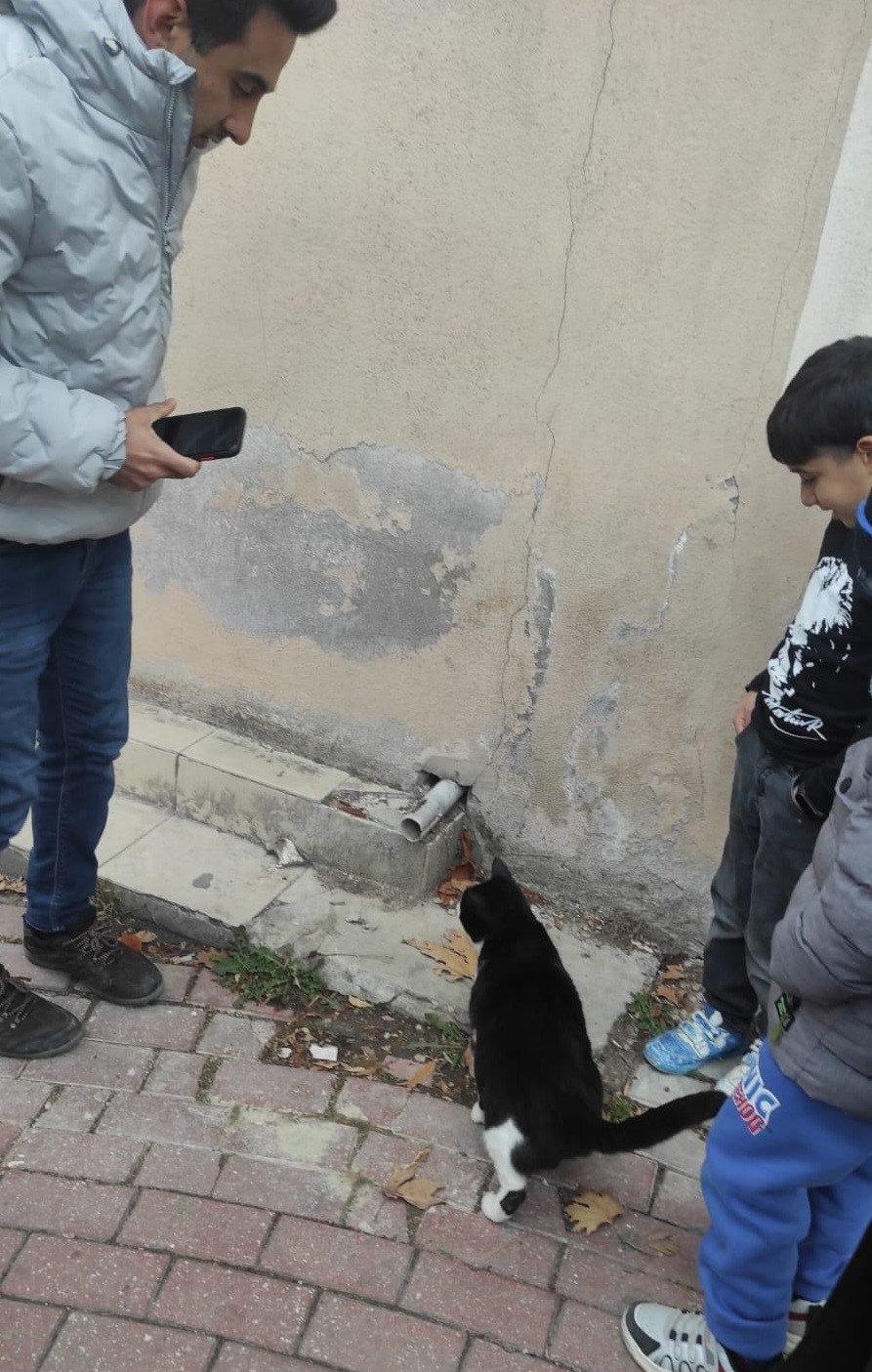 Anne kedinin yavrusunun kurtarılmasını beklediği anlar