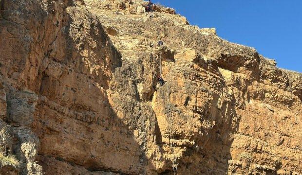 Görüntüler Diyarbakır'dan: Adrenalin tutkunu keçi çıktığı kayalıkta mahsur kaldı! 