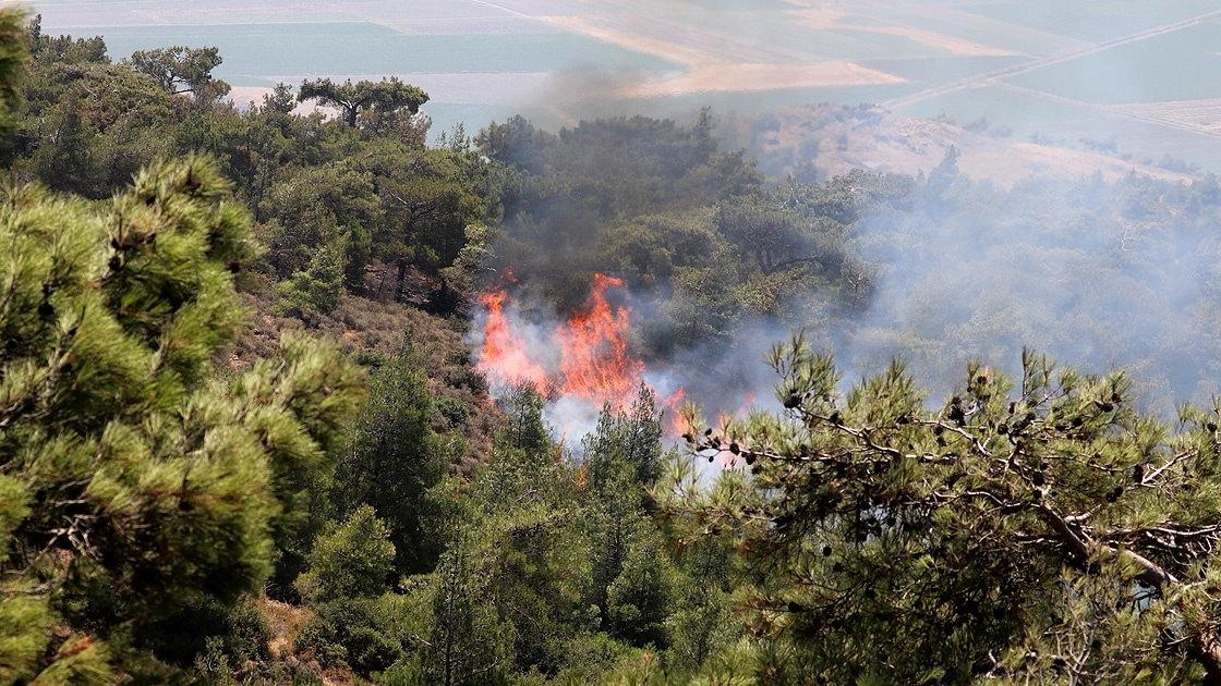 PKK'nın yaktığı orman