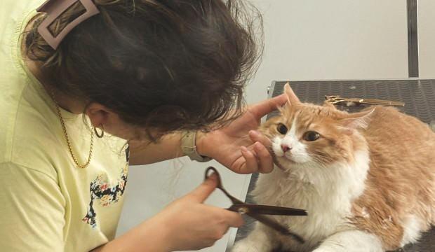İçindeki kedi ve köpek korkusunu yendi, yeni meslek sahibi oldu