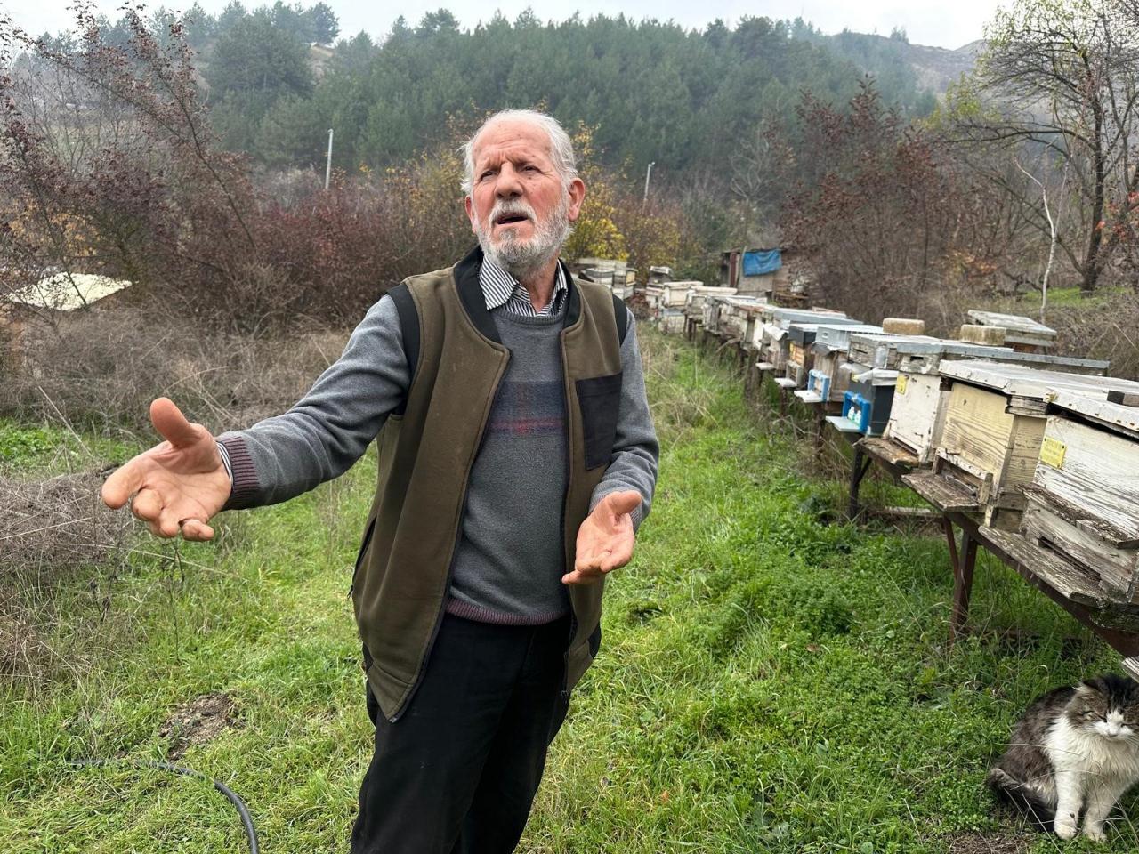 Zeynullah Soylu (75) kovan başı 50 bin arının telef olduğunu ileri sürdü. 