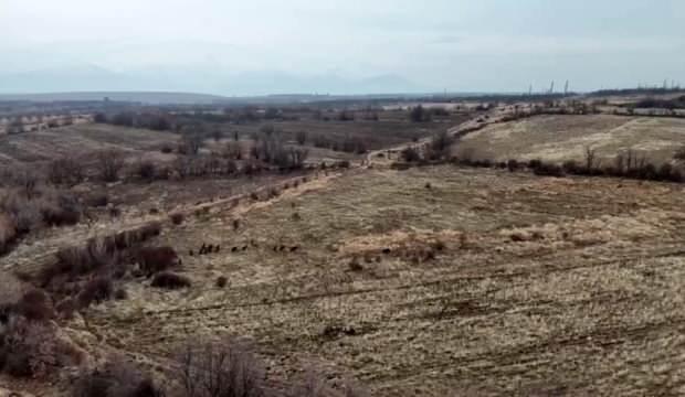 Ekili tarlasının son halini g&ouml;ren &ccedil;ift&ccedil;i kabusu yaşadı! 