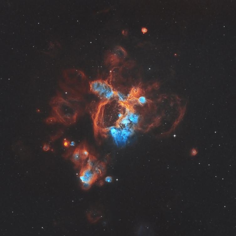 Stardust, NGC 1929 Yayma Bulutsusu / Fotoğraf: Mustafa Aydın