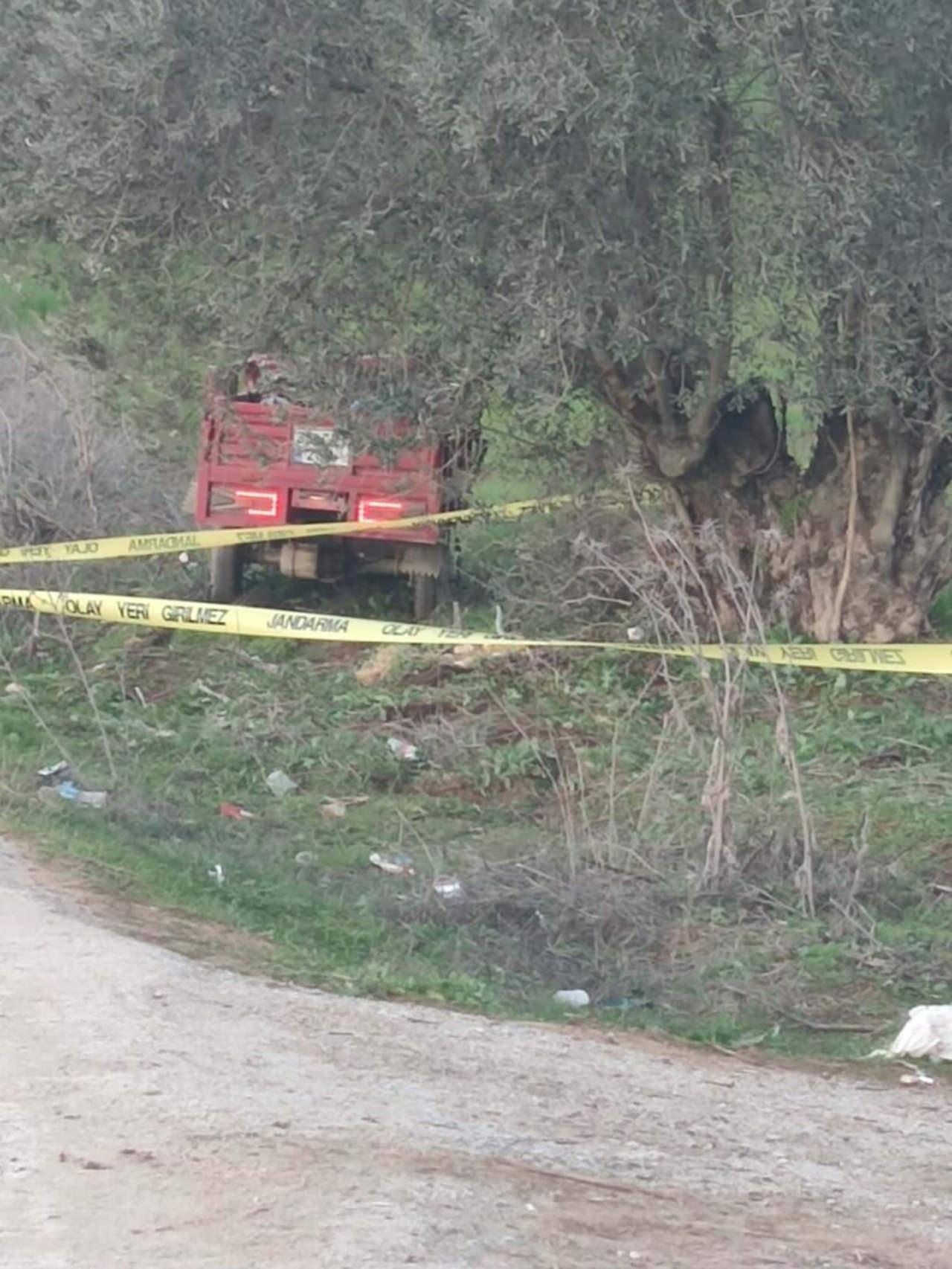 Zeytin ağacına çarpan motosikletteki iki kardeş hayatını kaybetti. 