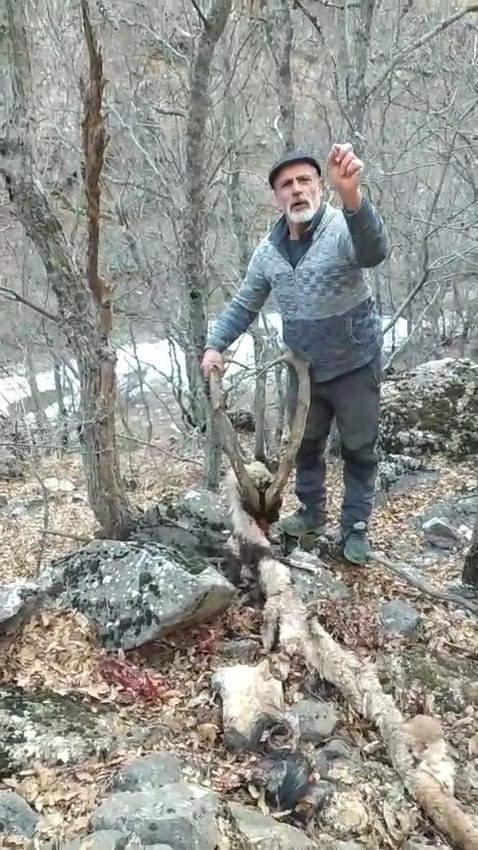 öldürülen yaban keçisini bulan Veli Akyol isimli vatandaş