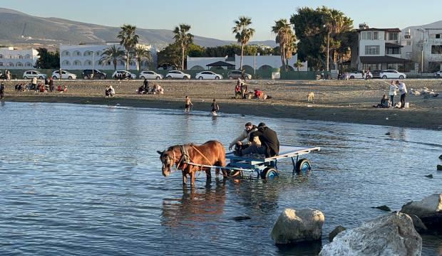 G&ouml;ren hayrete d&uuml;şt&uuml;! At arabasıyla denize girdiler yetmedi...