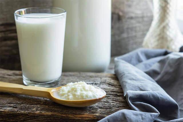 Kefir ve kefir mayası