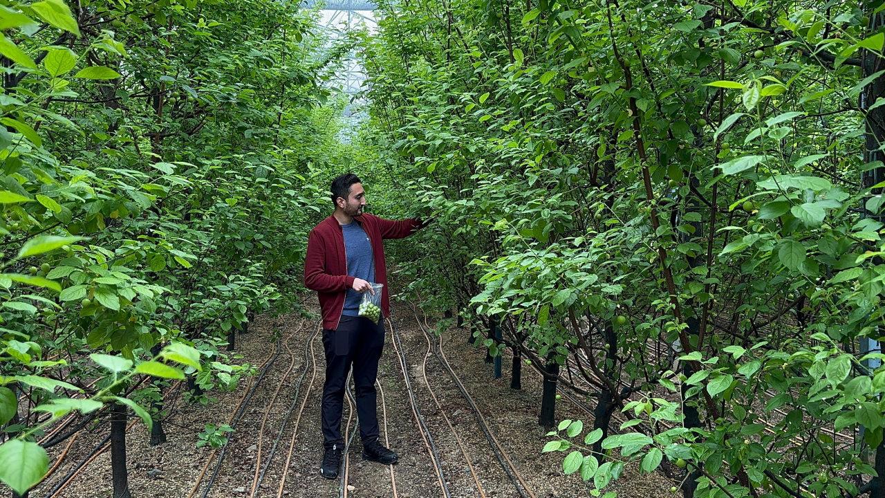 Mustafa Kutay Ası (26)