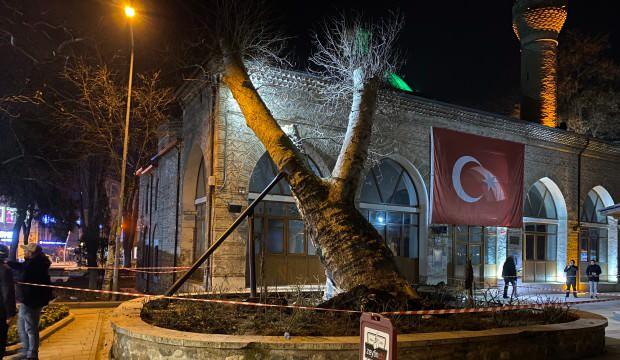 İnegöl'deki 550 yıllık çınar devrildi: 600 yıllık tarihi İshakpaşa Camii zarar gördü