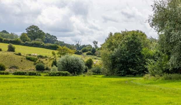 Gayrimenkul sekt&ouml;r&uuml;nde hareketlilik artıyor