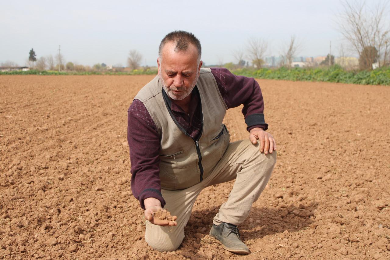 Hüseyin Yağız'ın 30 kilo yonca tohumu ektiği tarla.