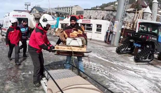 Hasta buzağı jandarmanın kar motosikletiyle taşındı