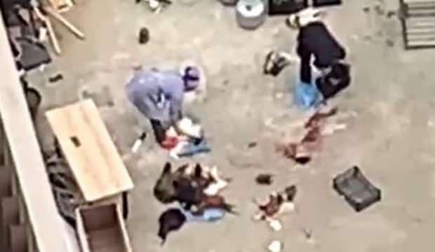 Şehrin göbeğinde kestiler! İnsan sağlığı hiçe sayıldı
