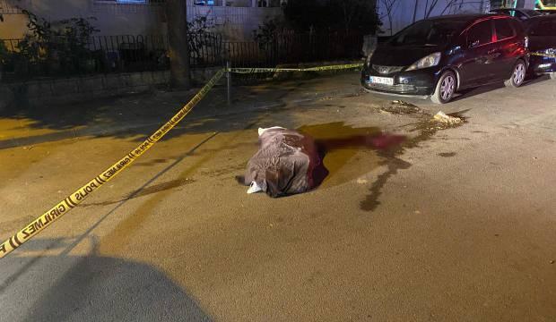 Kadıköy'de korkunç kaza: Çöp kamyonu 82 yaşındaki kadını ezdi! 