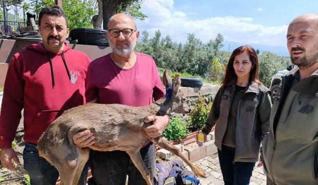 Hatay'da bahçesinde buldu! Kendisi bile inanamadı
