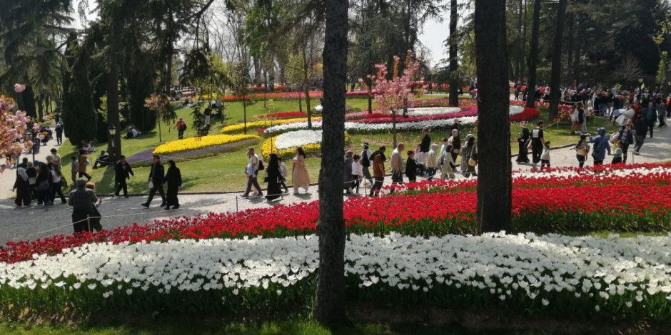 Bütün İstanbullular davetli: Milyonlarca lale sizi bekliyor