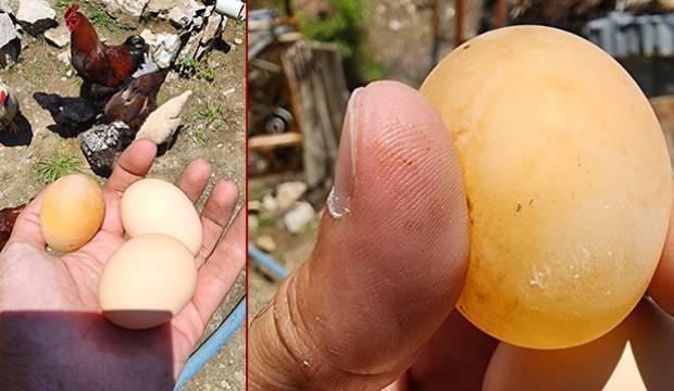 Sürpriz yumurta dedikleri bu olsa gerek