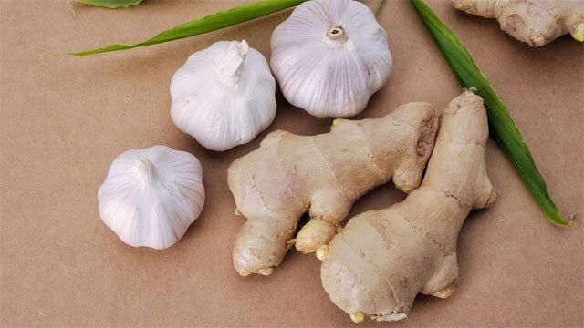 Sarımsak ve zencefil