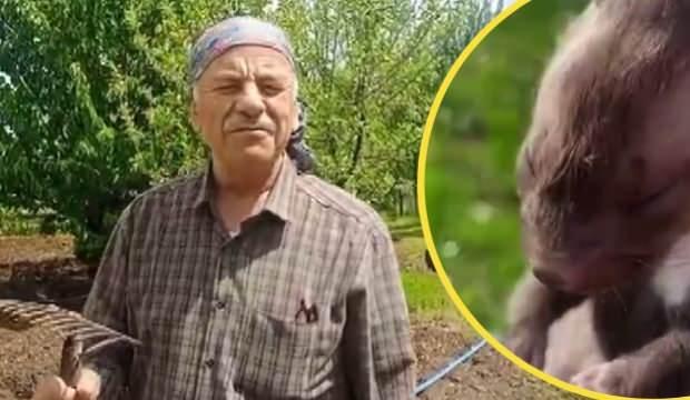 Çiftçinin sansarla diyaloğu gülümsetti: 'Sen buraya nerden geldin kız?'