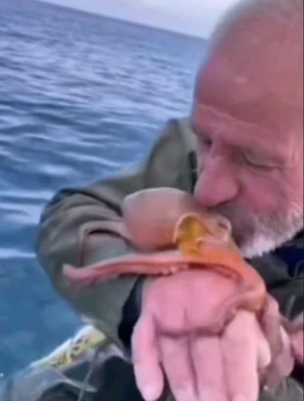 Birol Çinçik'in ahtapotu öptüğü anlar. 
