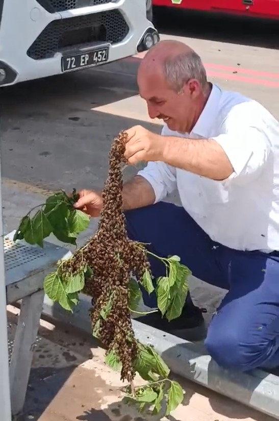 Murat Altun