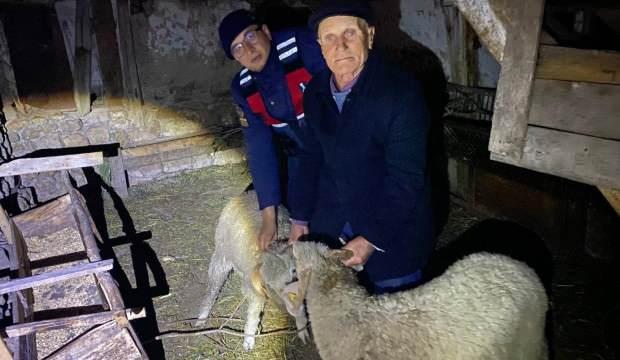 Jandarma kayıp hayvanlarını bulunca dünyalar onun oldu