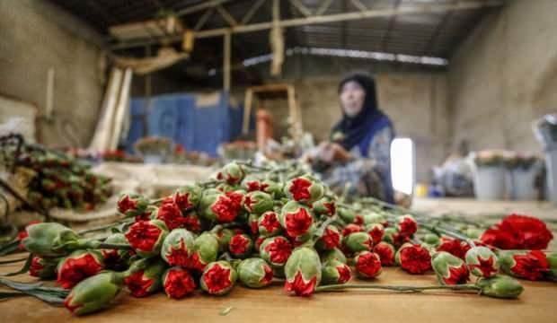 Türkiye'de bir ilk: Gaziantep'te "Anne-Bebek Festivali" başlıyor