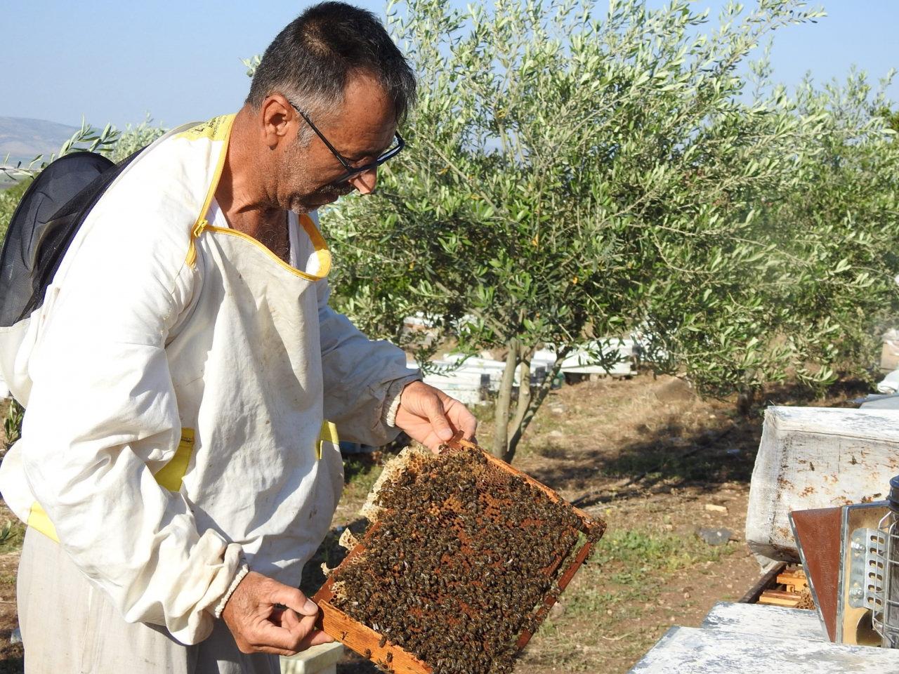 Mehmet Uçar