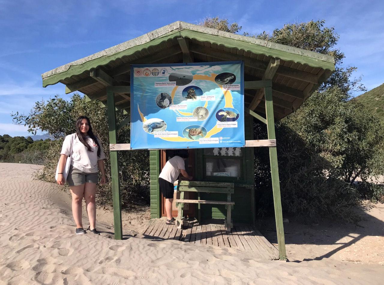 Caretta caretta ve chelonia mydas türü deniz kaplumbağalarının en büyük yuvalama alanlarından bazıları Akdeniz kıyılarında bulunuyor. 