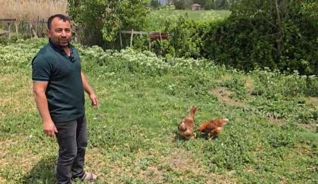 Tilkiyi bahçede yakalayınca mizahı patlattı: 'Kanun namına teslim ol'