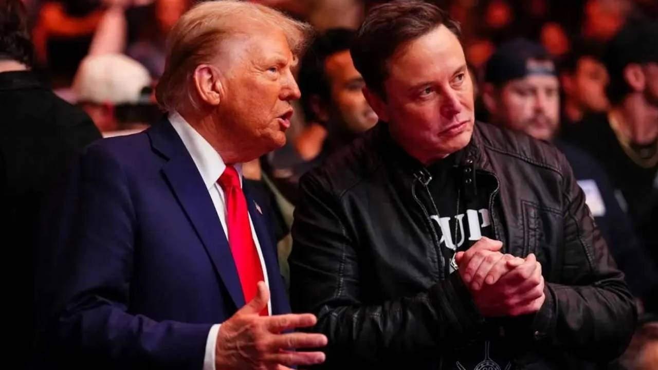 Donald Trump - Elon Musk