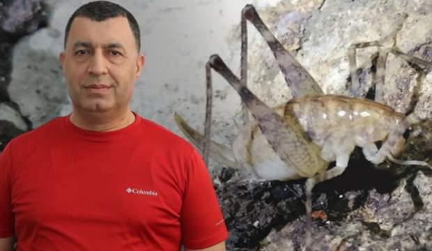 Diyarbakır'da bir fotoğrafla bulundu: Mağara dışında ona hayat yok