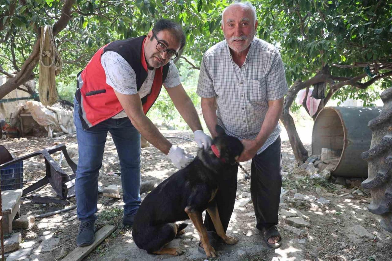 Kuduz köpek vakası