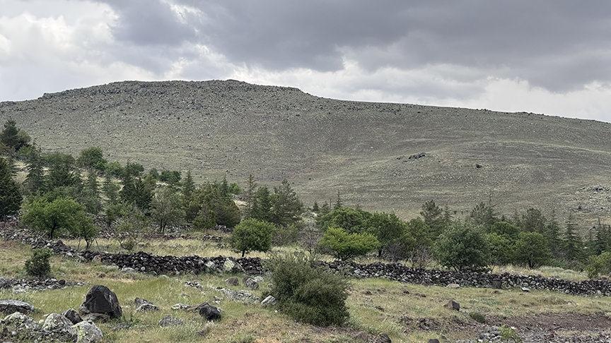 Konya'nın 
