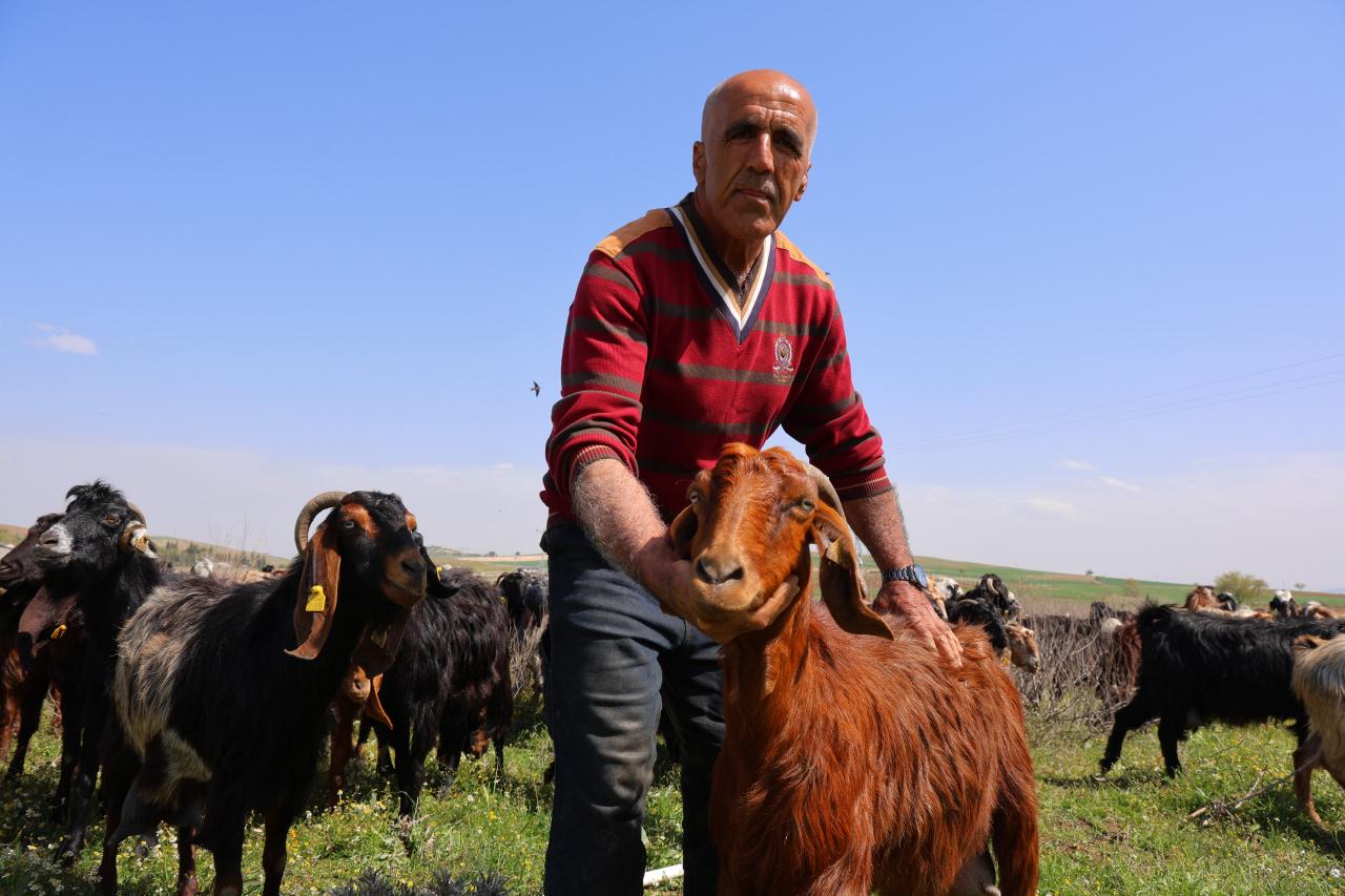 Bölgede hayvancılık yapan Eyüp Dalgıç. 