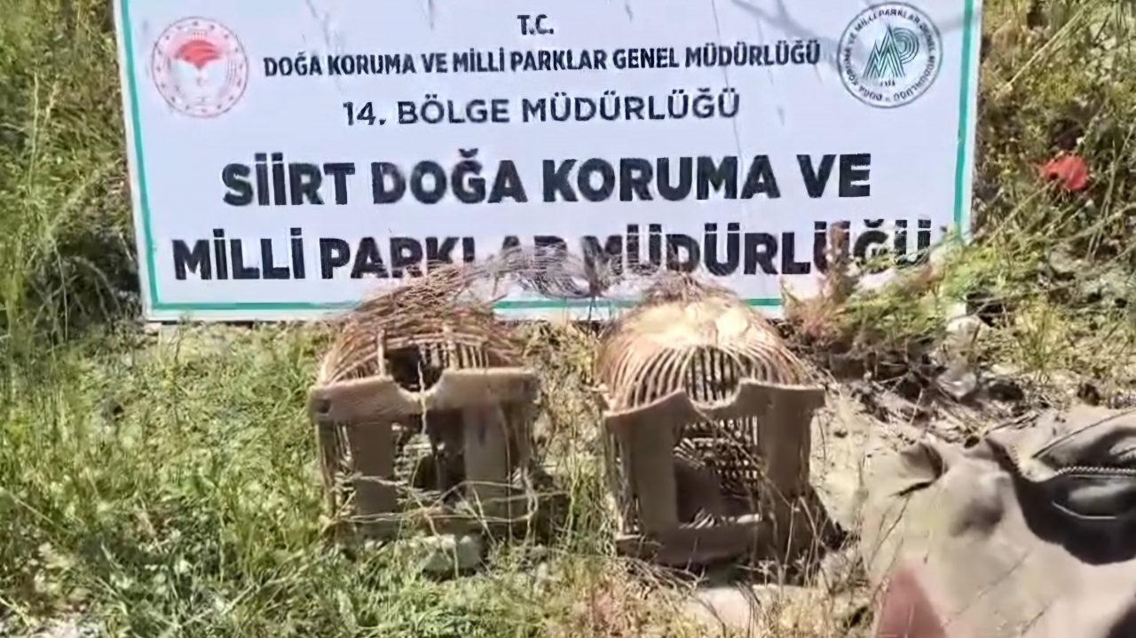 Ekipler tarafından ele geçirilen 2 canlı keklik. 