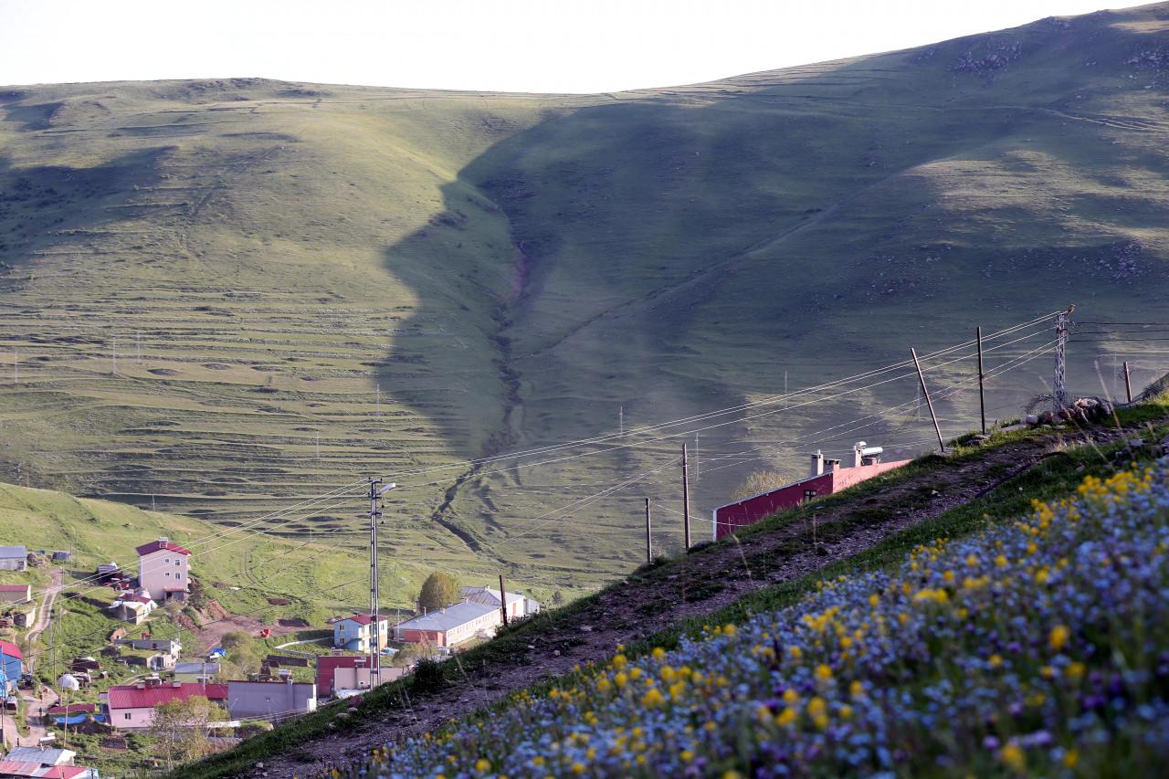 Ardahan'daki 