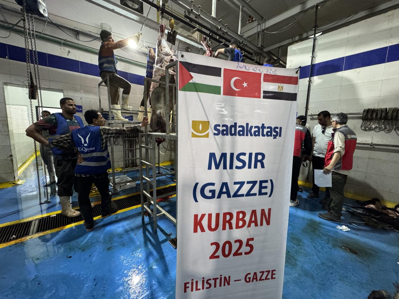 Sadakataşı Derneği, Gazze Şeridi’ne ulaştırmak için Mısır’da binlerce kurban kesti