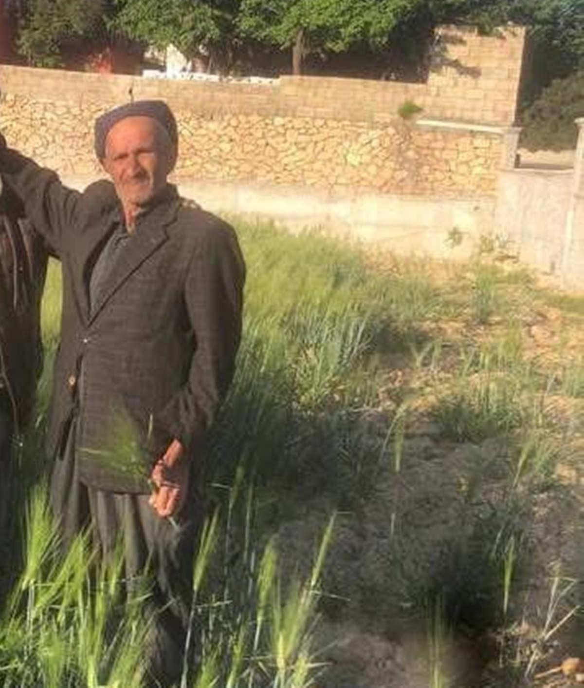 Ahmez Boz