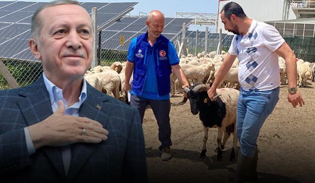 Erdoğan’ın kurban vekaleti TDV tarafından Konya’da yerine getirildi