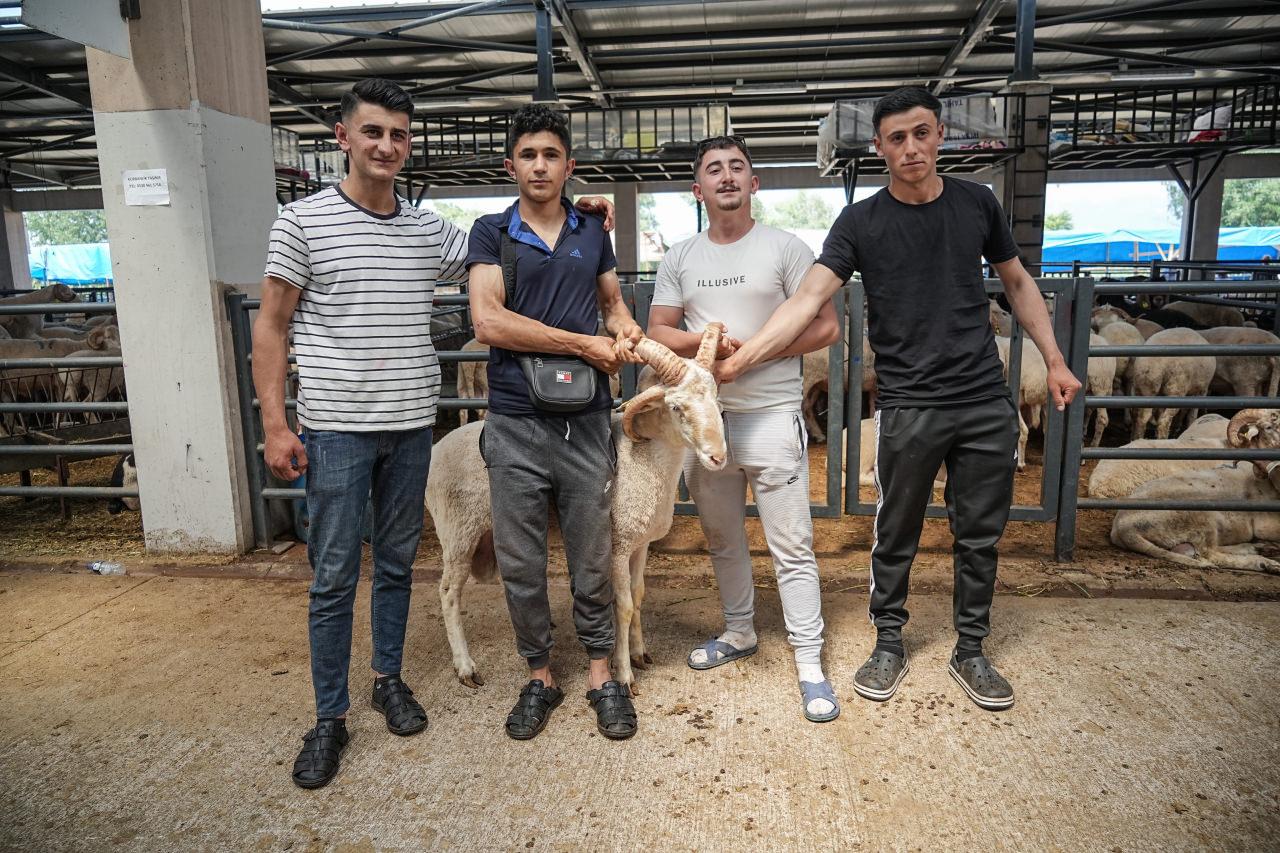 Besici her bir boynuz için 10 bin TL fiyat biçti. 